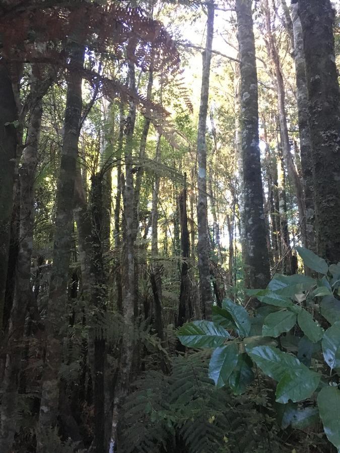 Apartment Luxury Couples Retreat Limited Punakaiki